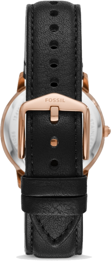 Fossil le1066 best sale