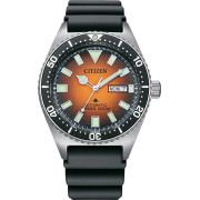 &quot;Citizen&quot; NY0120-01Z