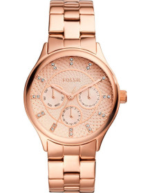 &quot;Fossil&quot; BQ1561