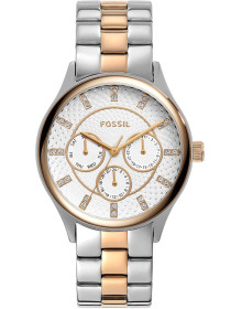 &quot;Fossil&quot; BQ1564